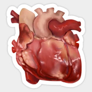 The Human Heart Sticker